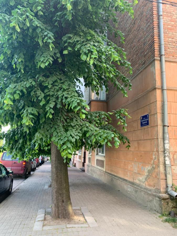 Apartament Vel Люкс Czerniowce Zewnętrze zdjęcie